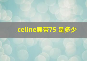 celine腰带75 是多少